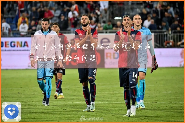 新手如何选择世界杯买球网站并避免常见风险和问题