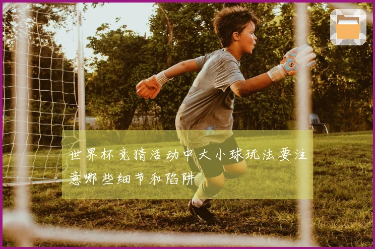 世界杯竞猜活动中大小球玩法要注意哪些细节和陷阱