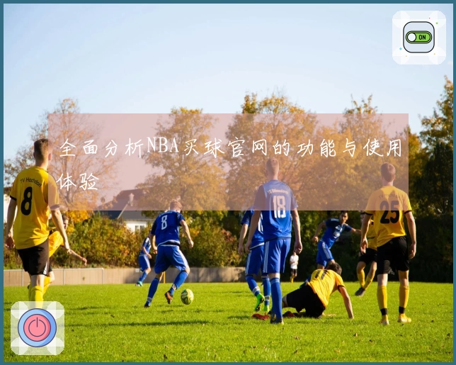 全面分析NBA买球官网的功能与使用体验