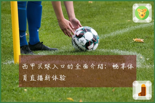 西甲买球入口的全面介绍：畅享体育直播新体验