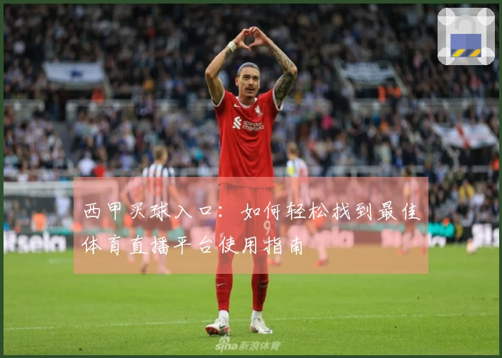 西甲买球入口：如何轻松找到最佳体育直播平台使用指南