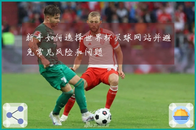 新手如何选择世界杯买球网站并避免常见风险和问题