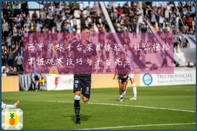 西甲买球平台深度体验：让你轻松掌握观赛技巧与平台亮点